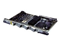 ESR-4OC3-CHSTM1-RF
