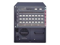 WS-C6506E-IPS10GK9
